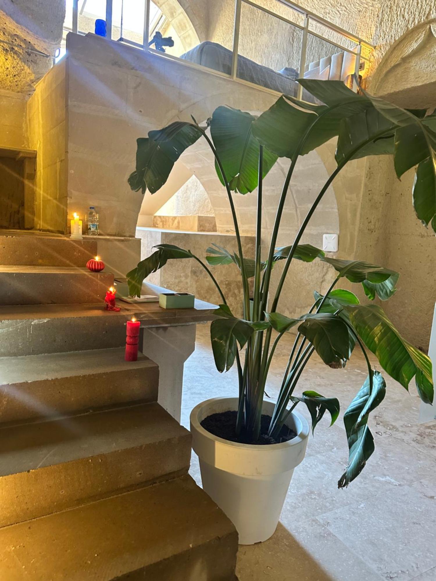 Be Still Alexa Smart Luxury Escape Adults Only Невшехир Екстериор снимка